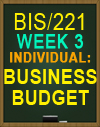 BIS/221 WK3 Collaborative Learning Activity: Business Budget